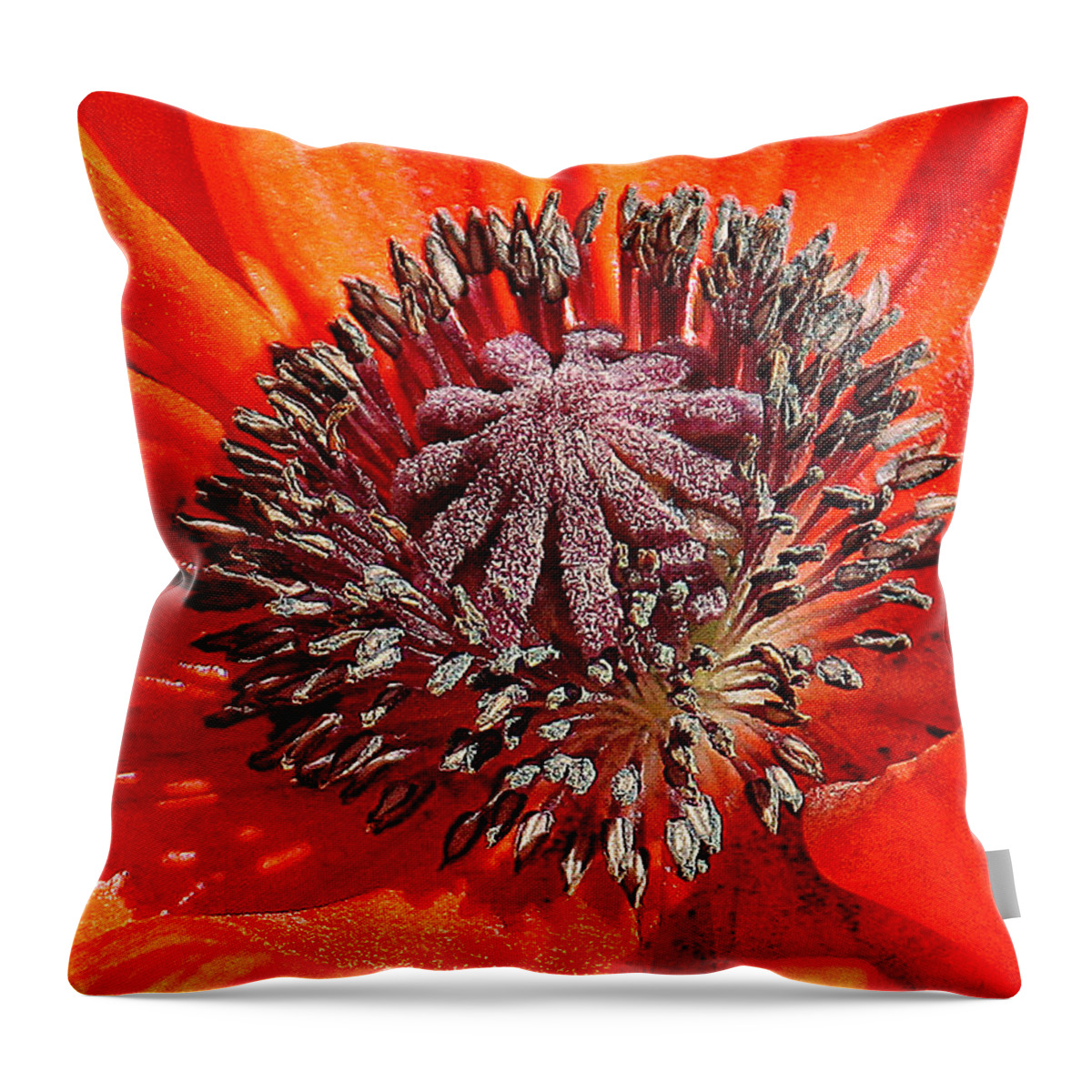 Nature Throw Pillow featuring the photograph Orange Poppy by William Selander