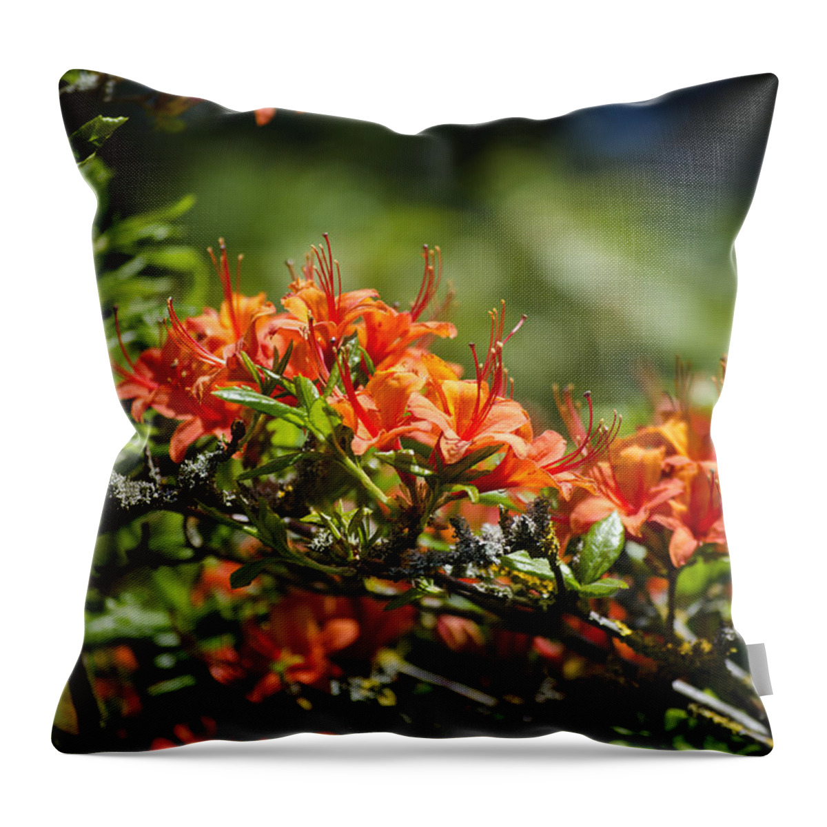 Orange Throw Pillow featuring the photograph Orange Rhododendron by Spikey Mouse Photography