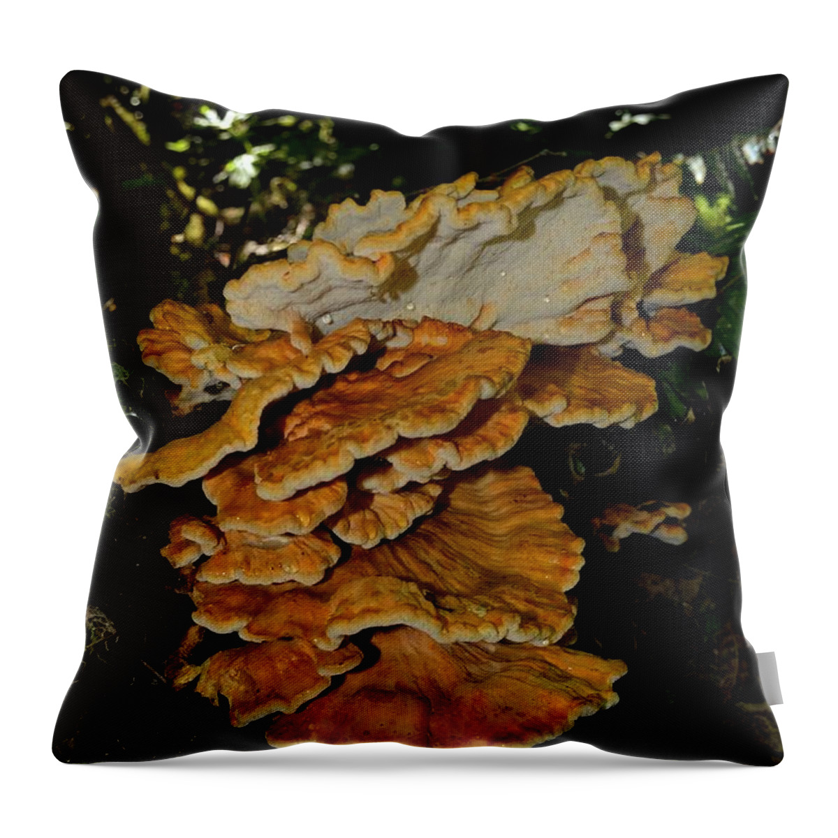 Laetiporus Throw Pillow featuring the photograph Orange Tree Fungus by Laureen Murtha Menzl