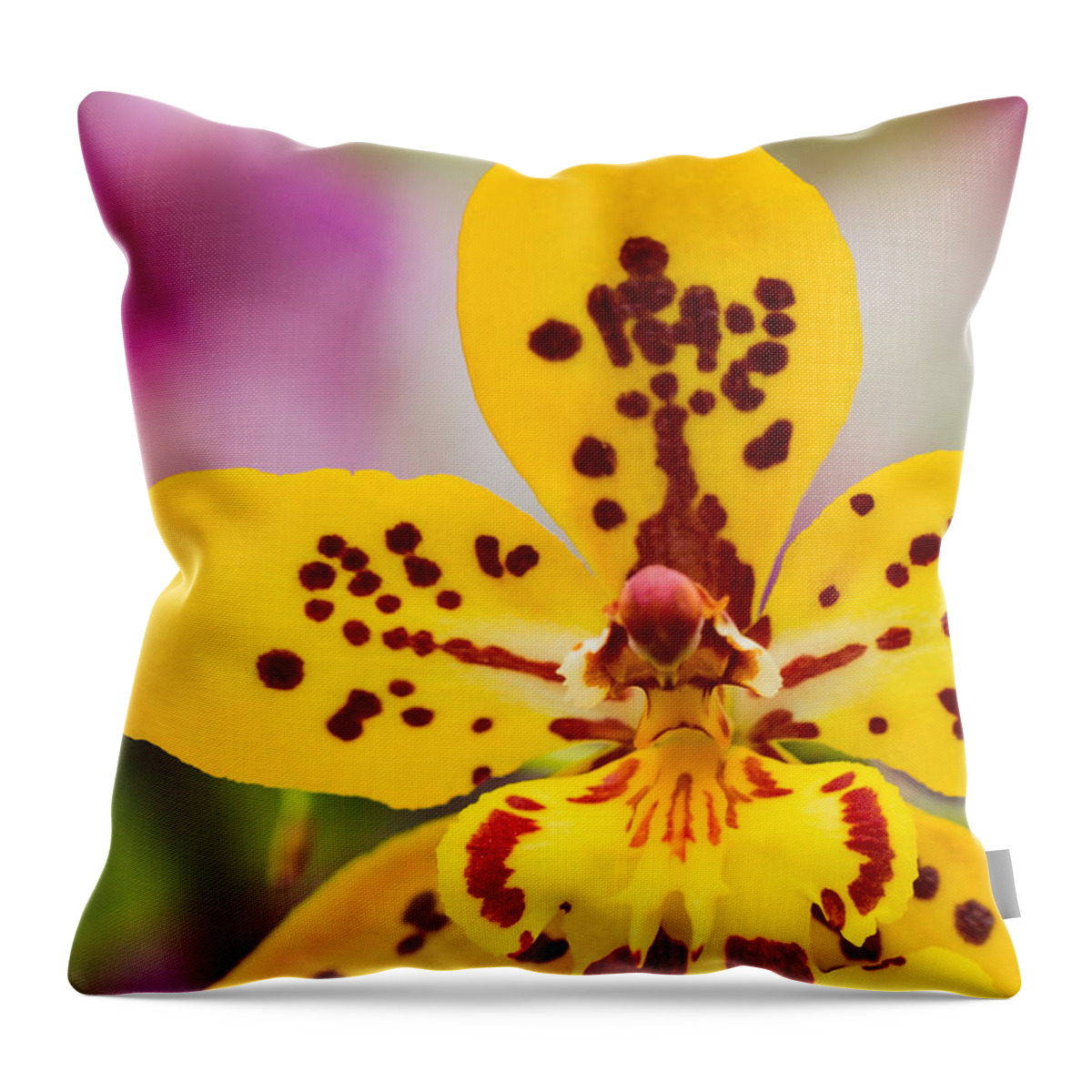 Orchid Throw Pillow featuring the photograph Orchid 2 of 3 by Brad Marzolf Photography