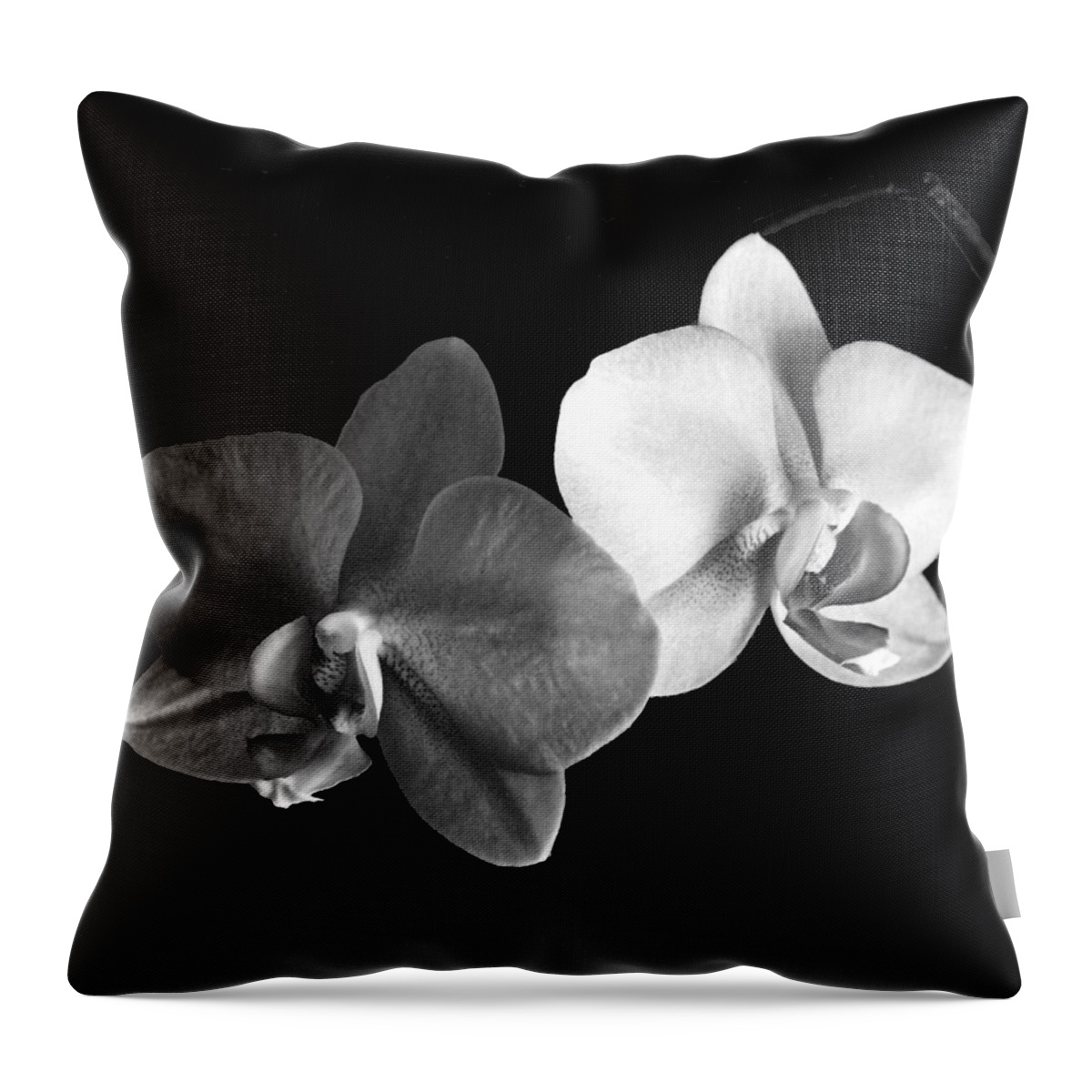 Floral Throw Pillow featuring the photograph Orchid in black and white by Steve Karol