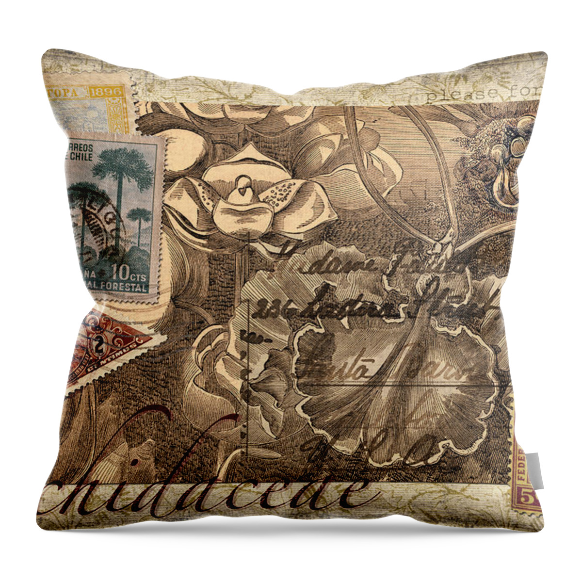 Postcard Throw Pillow featuring the photograph Orchidaceae Postcard by Carol Leigh