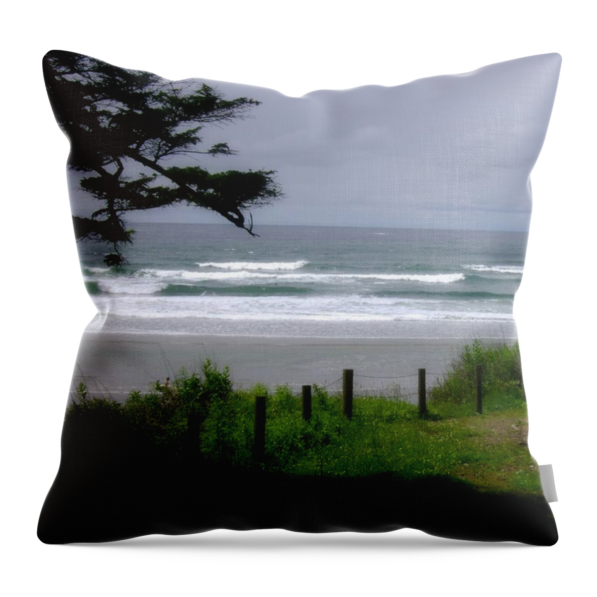 Park Bench Throw Pillow featuring the photograph Oswald West 3 by Laureen Murtha Menzl