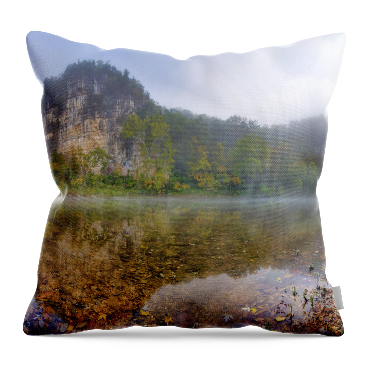 2012 Throw Pillow featuring the photograph Out of the Mist by Robert Charity