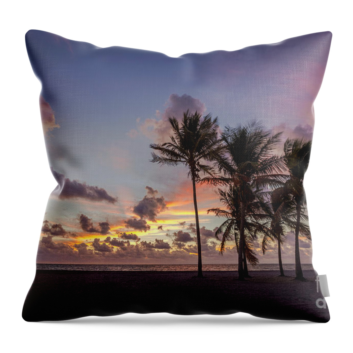 Key Biscayne Throw Pillow featuring the photograph Out Of The Sky Came The Lights by Evelina Kremsdorf