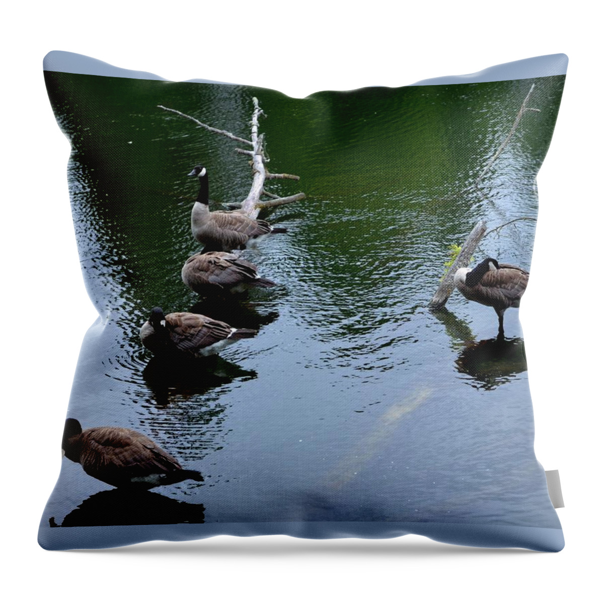 Outcast Throw Pillow featuring the photograph Outcast by Laureen Murtha Menzl