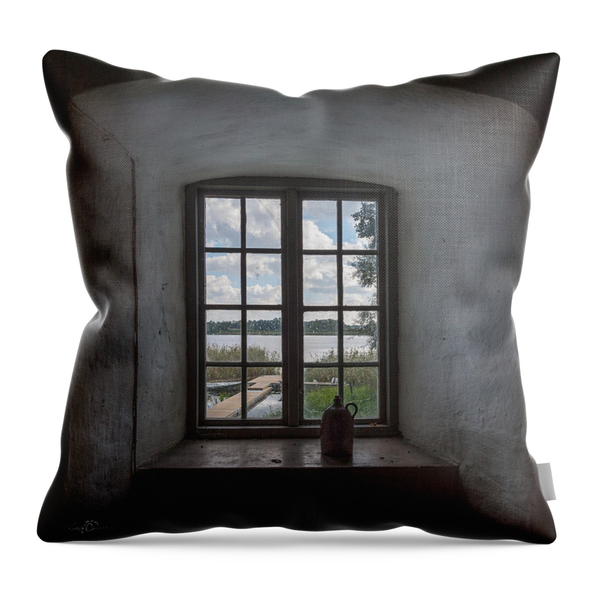Outlook Throw Pillow featuring the photograph Outlook by Torbjorn Swenelius