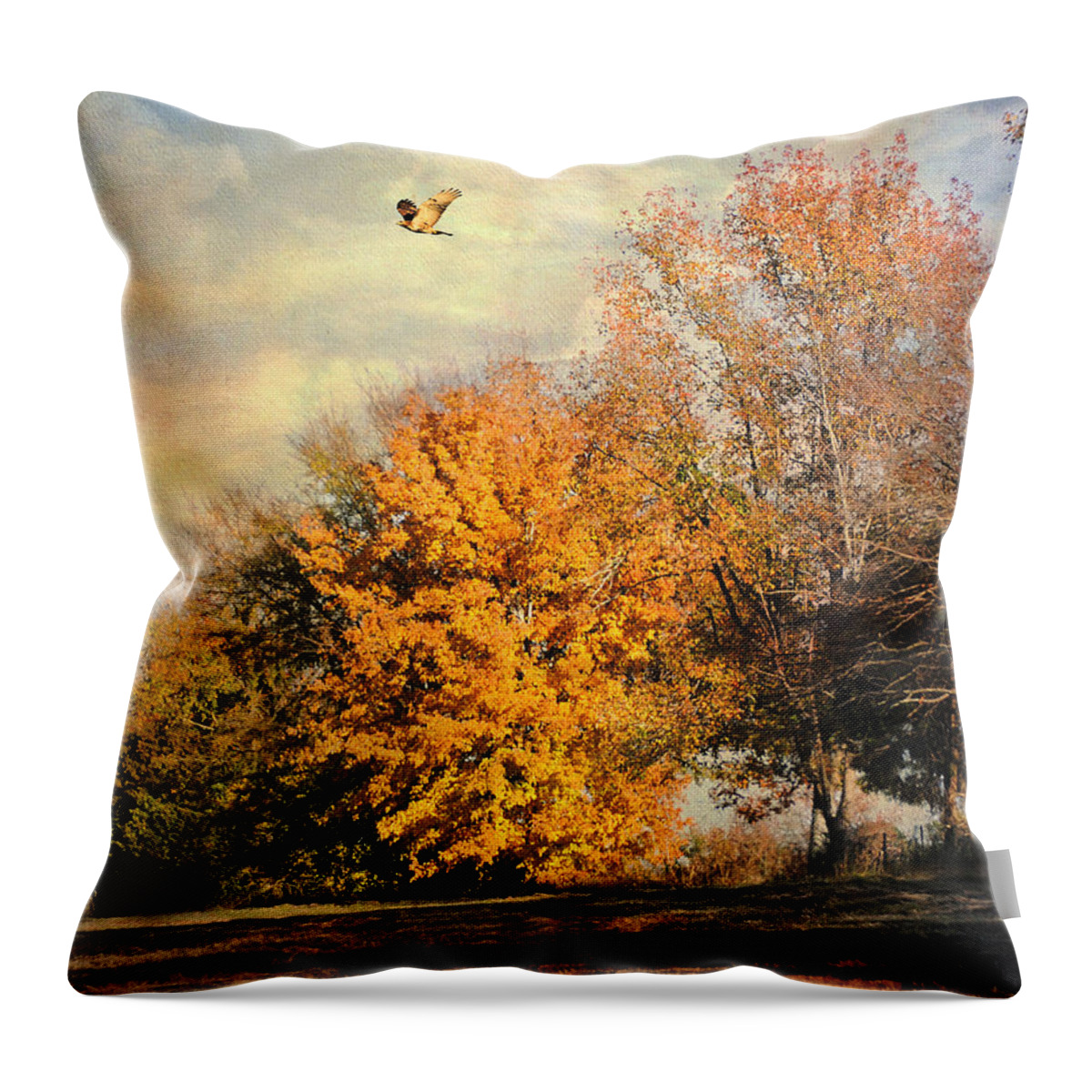 Autumn Throw Pillow featuring the photograph Over the Golden Tree by Jai Johnson