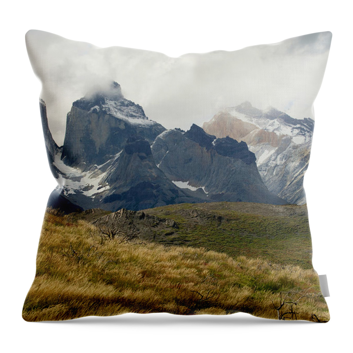 Photograph Throw Pillow featuring the photograph Paine Horne by Richard Gehlbach