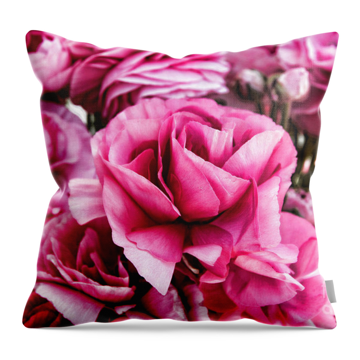 Ranunculus Throw Pillow featuring the photograph Paint Me Pink Ranunculus Flowers By Diana Sainz by Diana Raquel Sainz