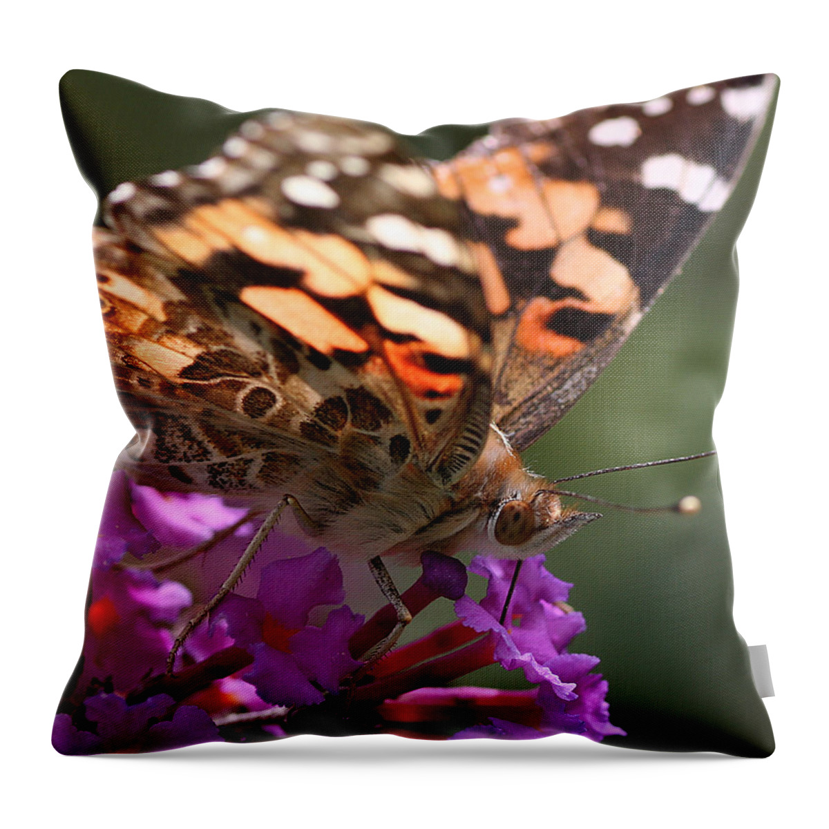 Nature Throw Pillow featuring the photograph Painted Lady on Butterfly Bush by William Selander