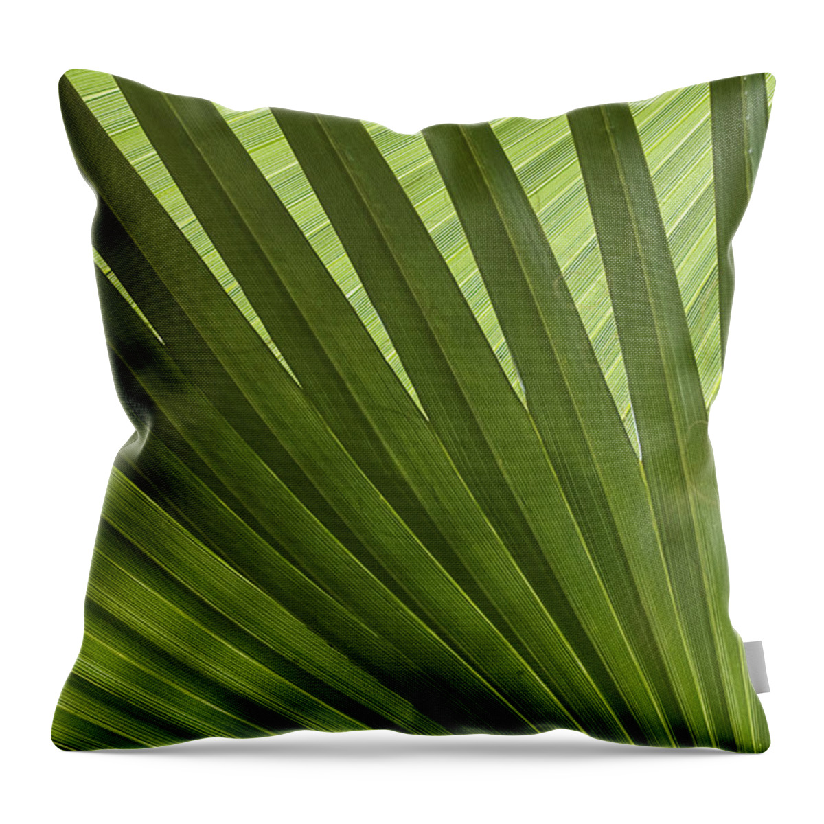 Palm Throw Pillow featuring the photograph Palm Abstract by Patty Colabuono