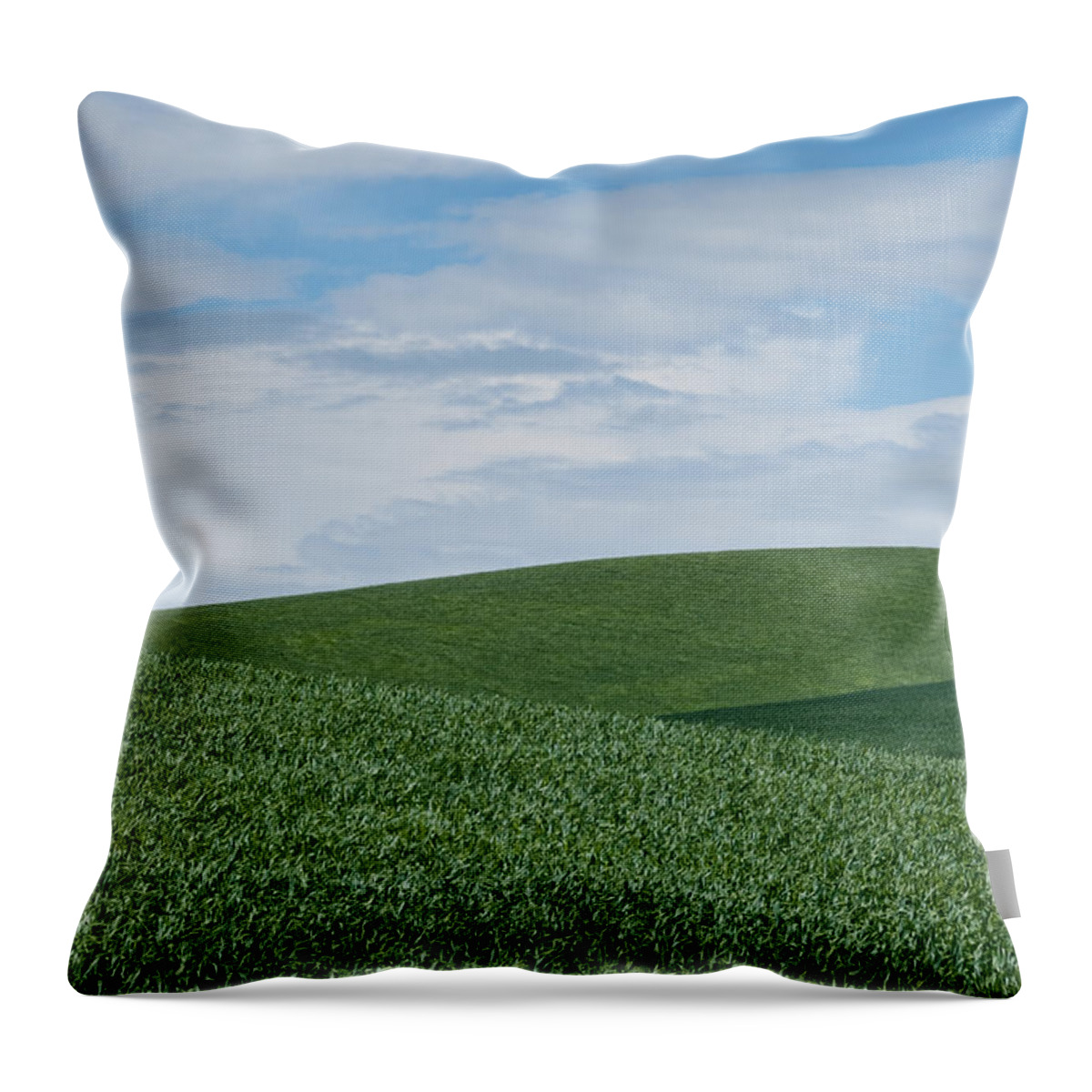 Agricultural Activity Throw Pillow featuring the photograph Palouse Wheatfield by Jeff Goulden