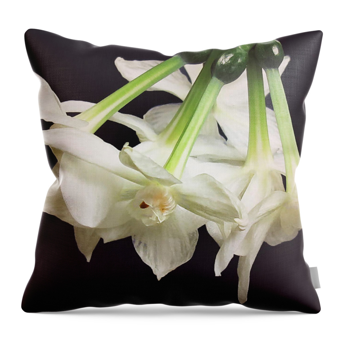 Floral Throw Pillow featuring the photograph Paper White by Deborah Smith