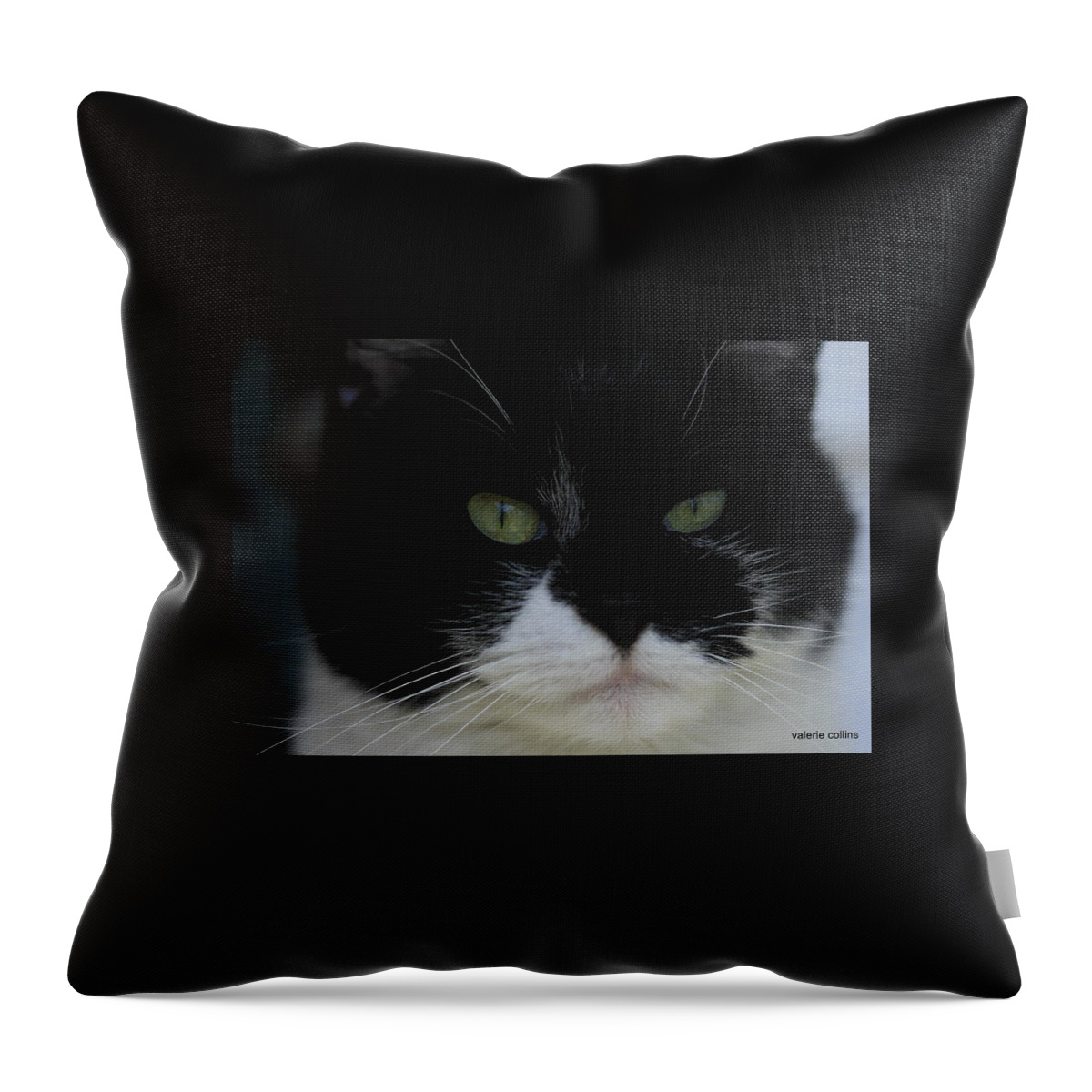 Tuxedo Throw Pillow featuring the photograph Green Eyes of a Tuxedo Cat by Valerie Collins