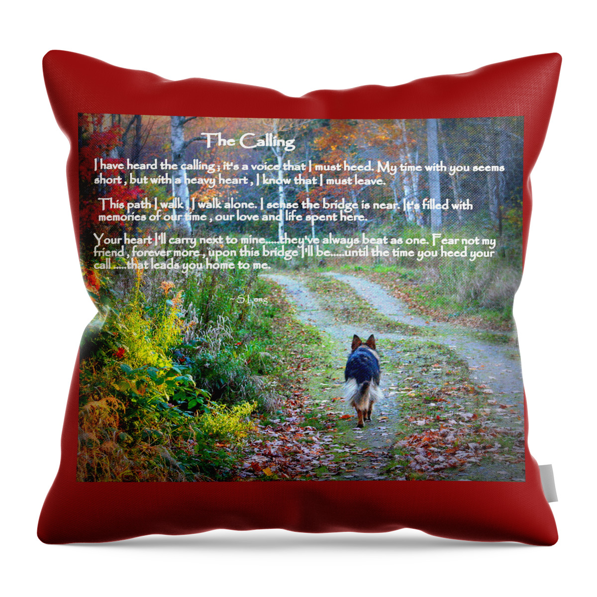 Quotes Throw Pillow featuring the photograph Paw Prints The Calling by Sue Long