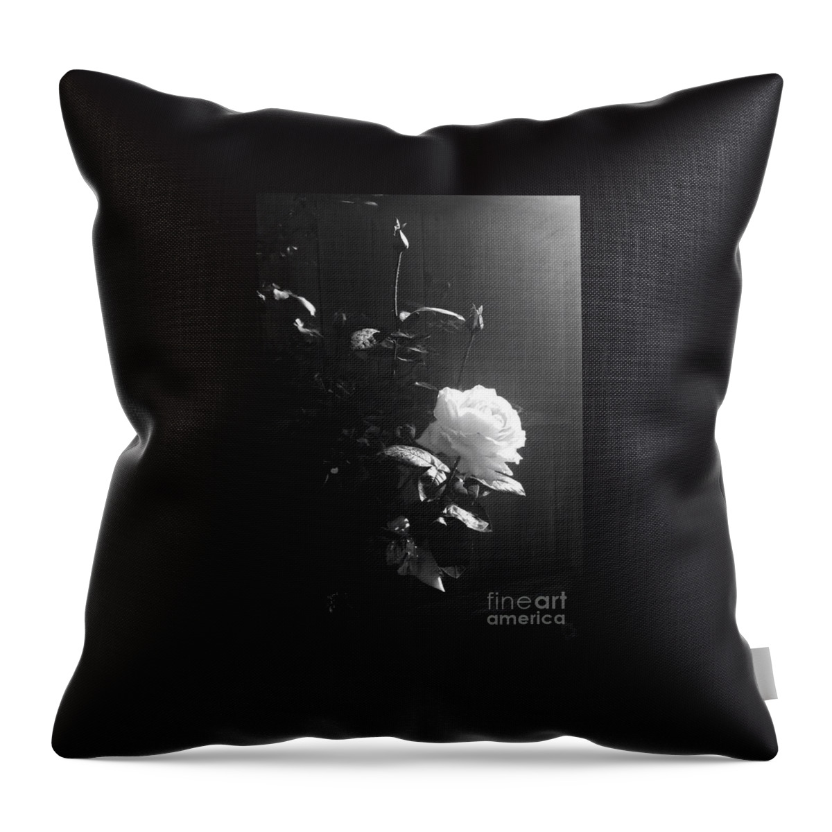 Rose Throw Pillow featuring the photograph Peace in the Morning by Vonda Lawson-Rosa