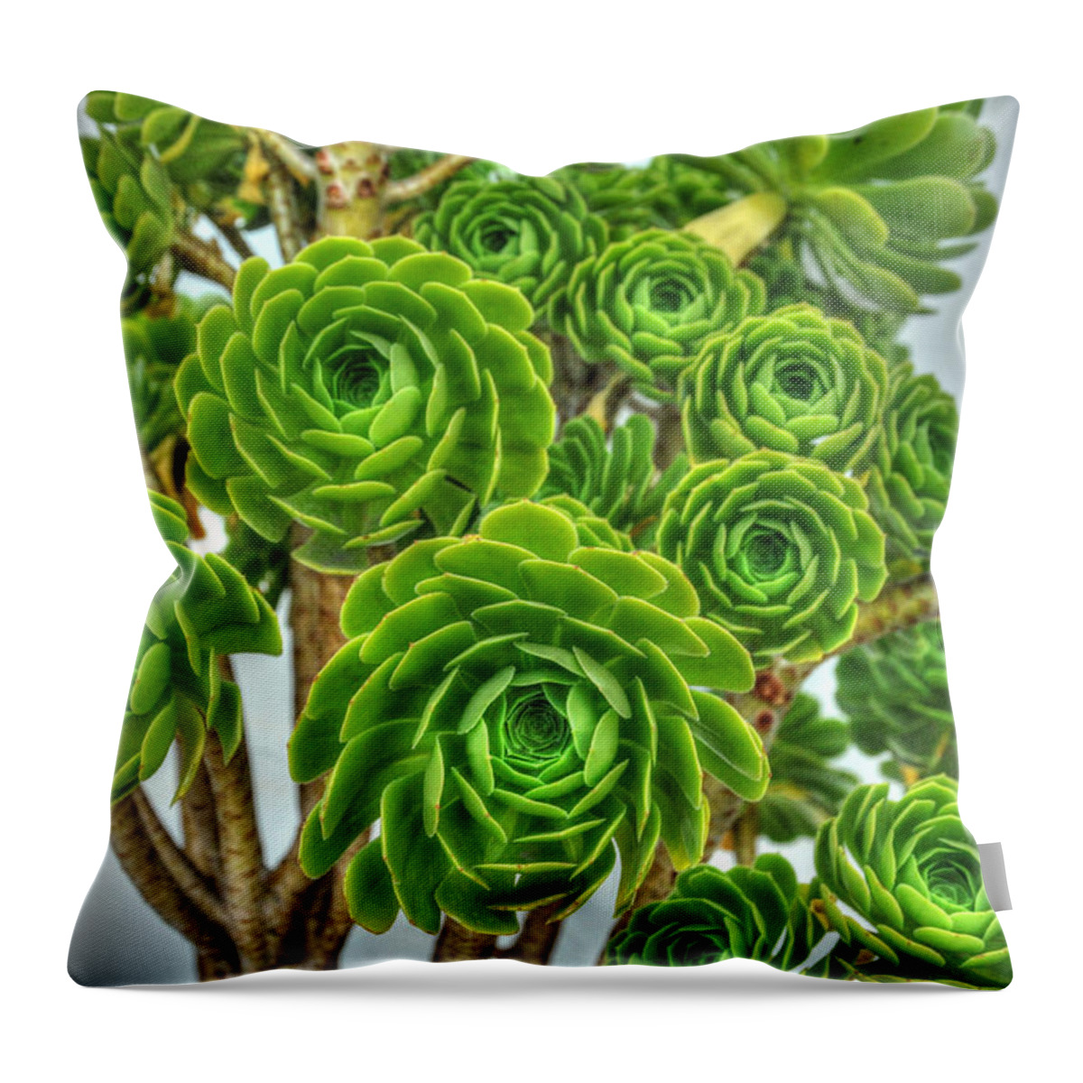 Floral Throw Pillow featuring the photograph Pedals of Green by Richard Gehlbach