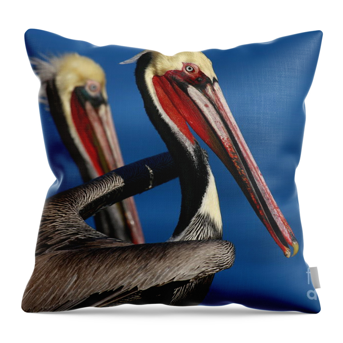 Landscapes Throw Pillow featuring the photograph La Jolla Pelicans In Waves by John F Tsumas