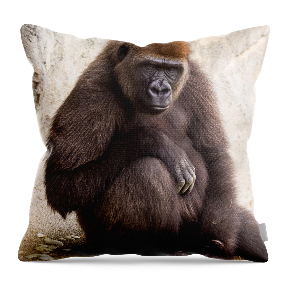 Africa Throw Pillow featuring the photograph Pensive Gorilla by Raul Rodriguez