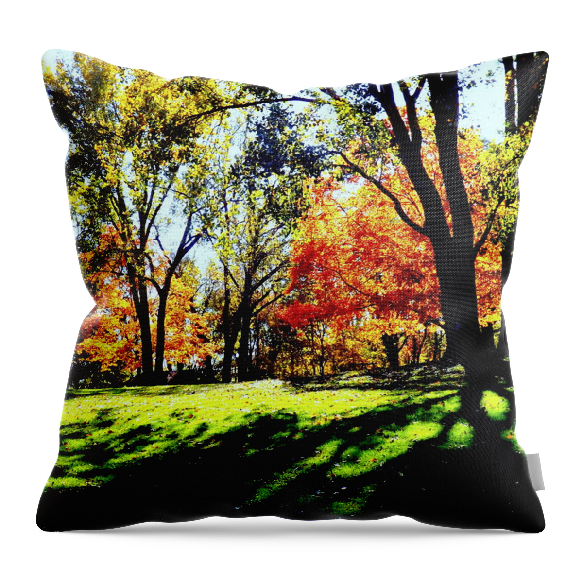 Perfect Picnic Spot Throw Pillow featuring the photograph Perfect Picnic Spot by Darren Robinson