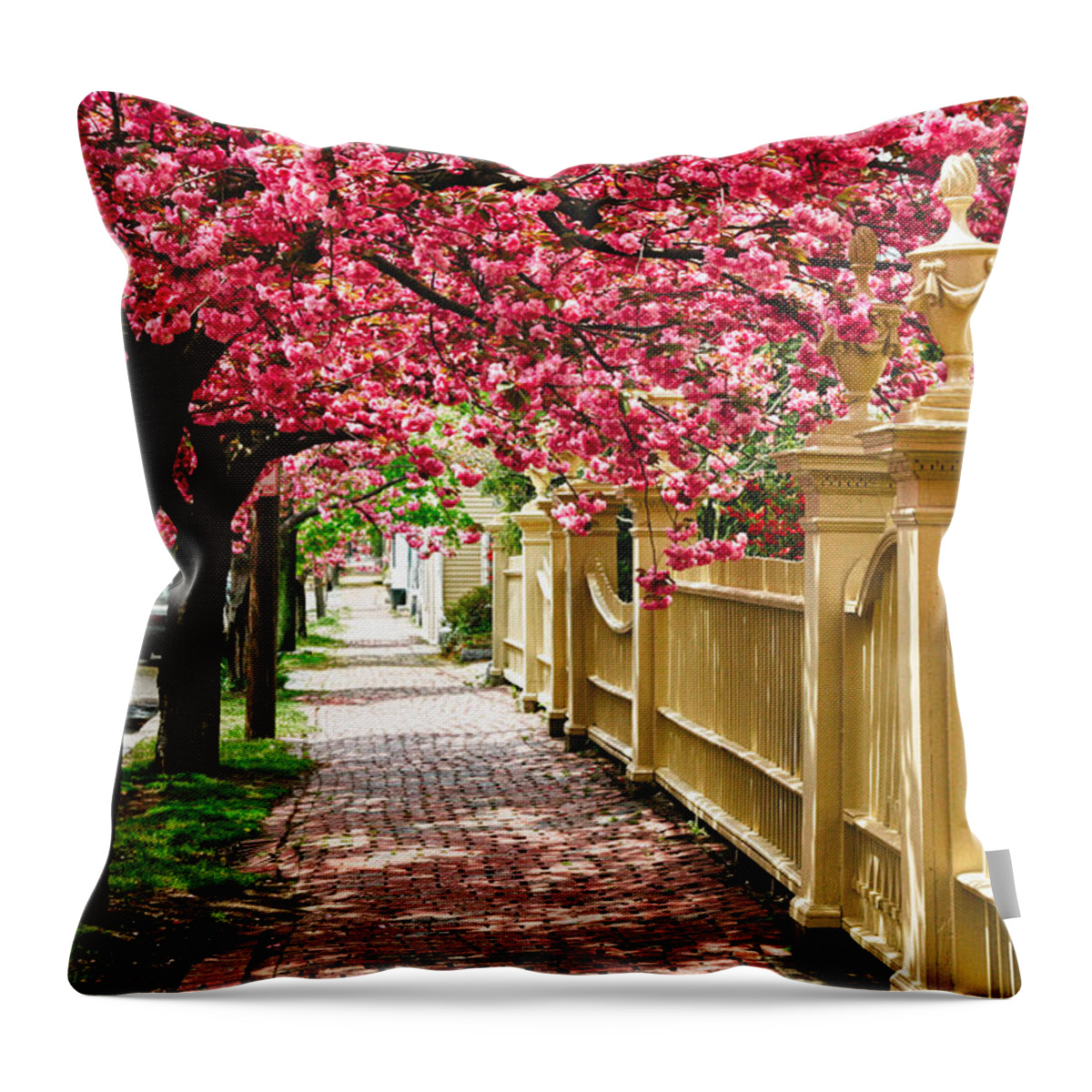 Salem Throw Pillow featuring the photograph Perfect time for a spring walk by Jeff Folger