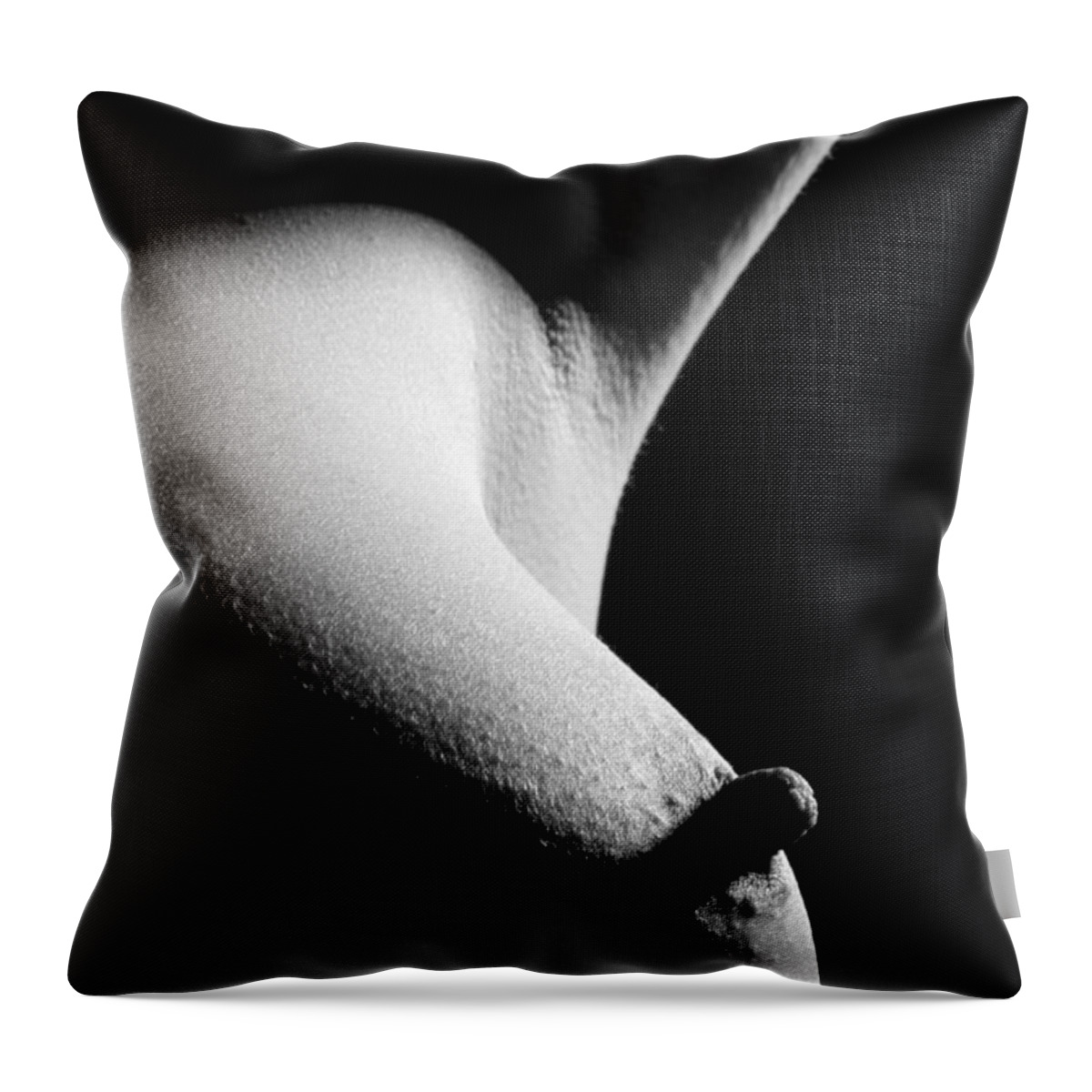 Nude Throw Pillow featuring the photograph Perfection by Joe Kozlowski