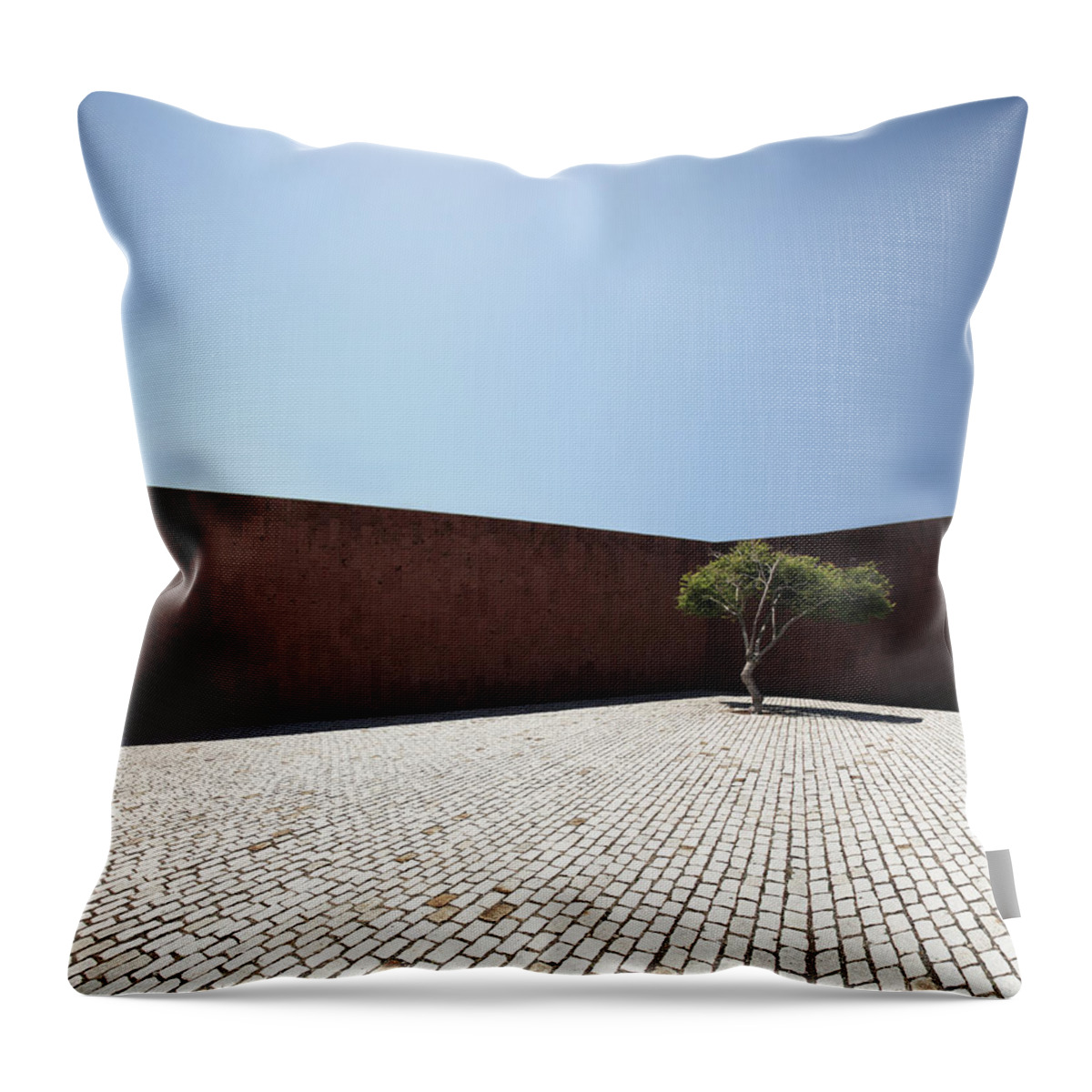 City Throw Pillow featuring the photograph Perspective View On Square With Tree by Stanislaw Pytel