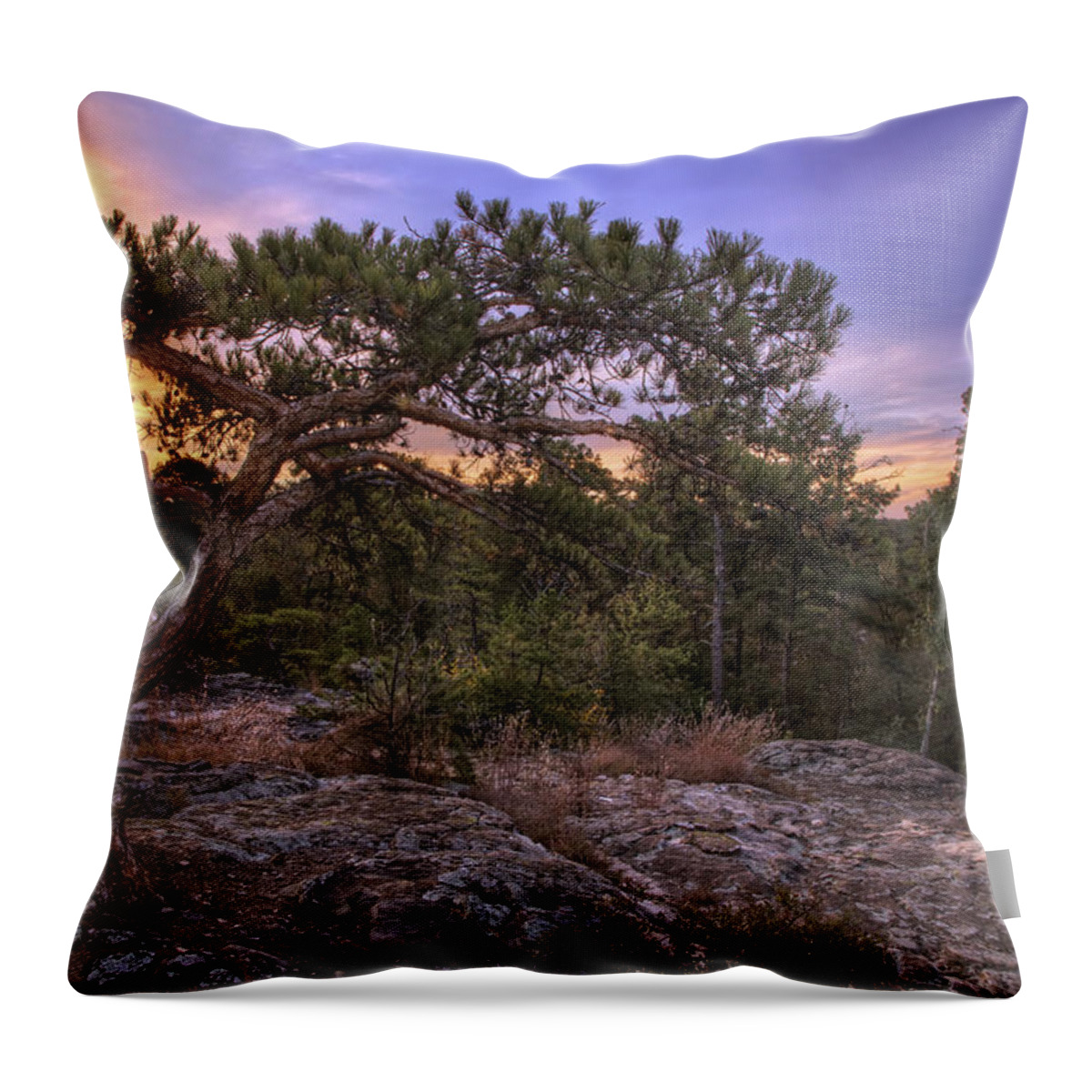 Petit Jean Throw Pillow featuring the photograph Petit Jean Mountain Bonsai Tree - Arkansas by Jason Politte