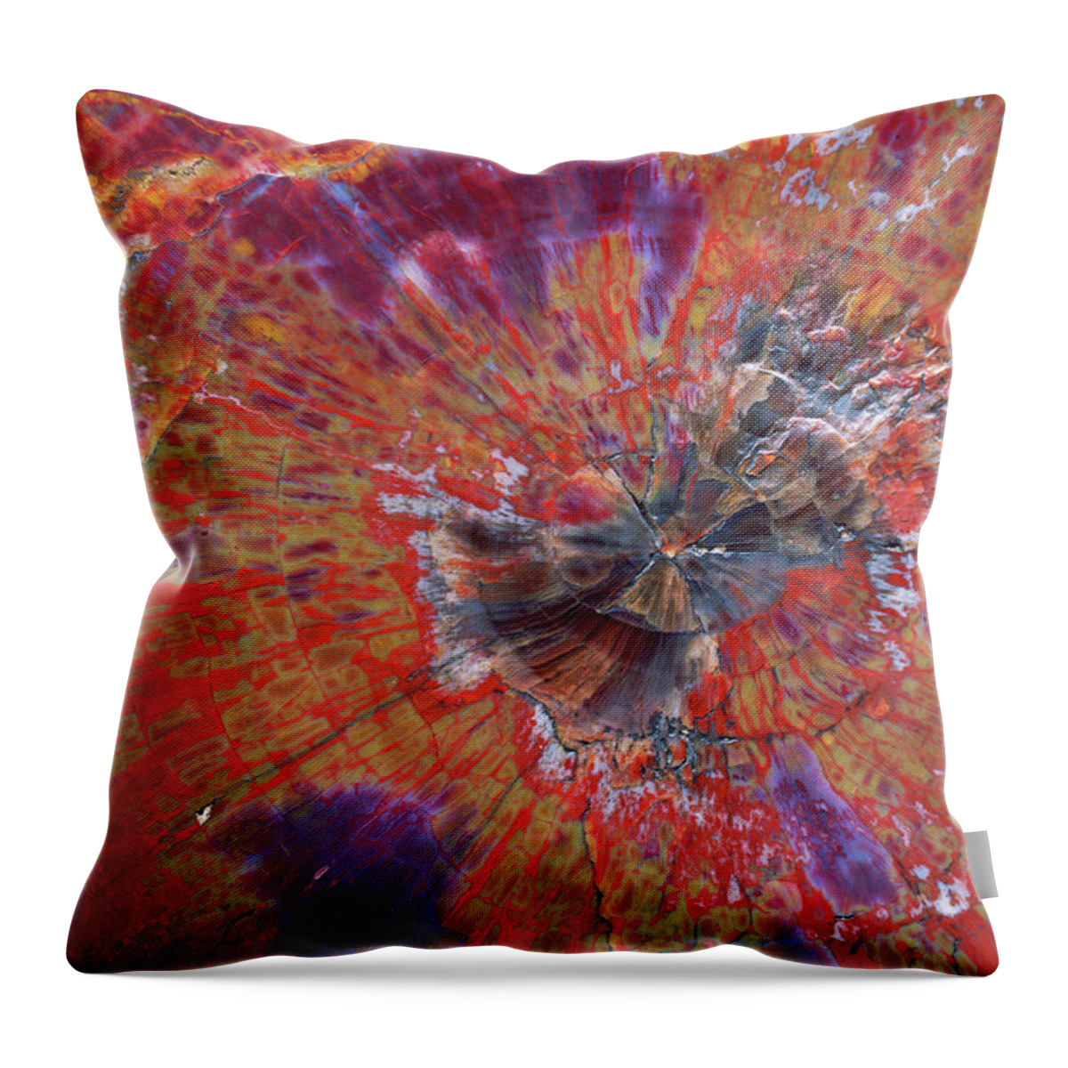 00343406 Throw Pillow featuring the photograph Petrified Wood Detail by 