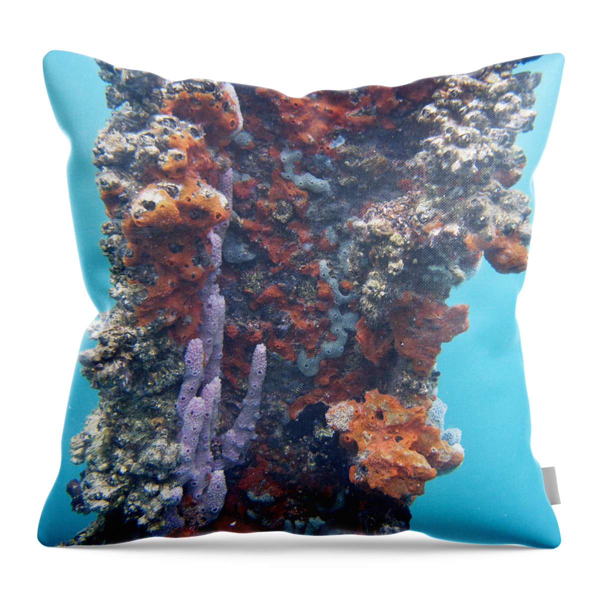 Bocas Del Toro Throw Pillow featuring the photograph Pillar of Life by Lynne Browne