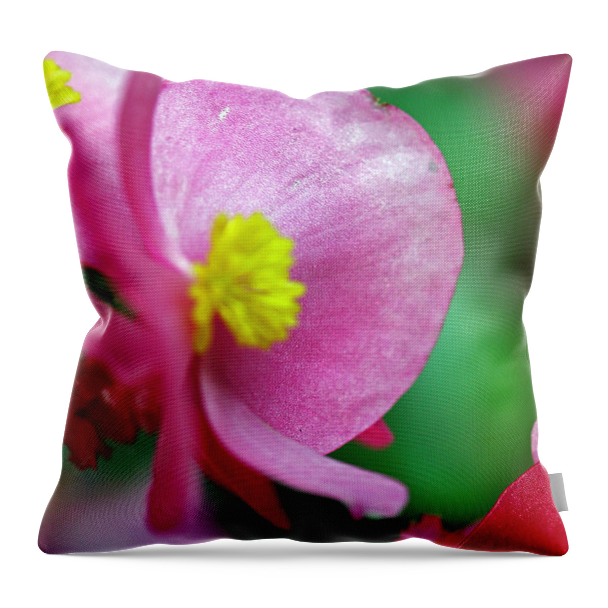 Flowers Throw Pillow featuring the photograph Pink Begonia by Jennifer Robin