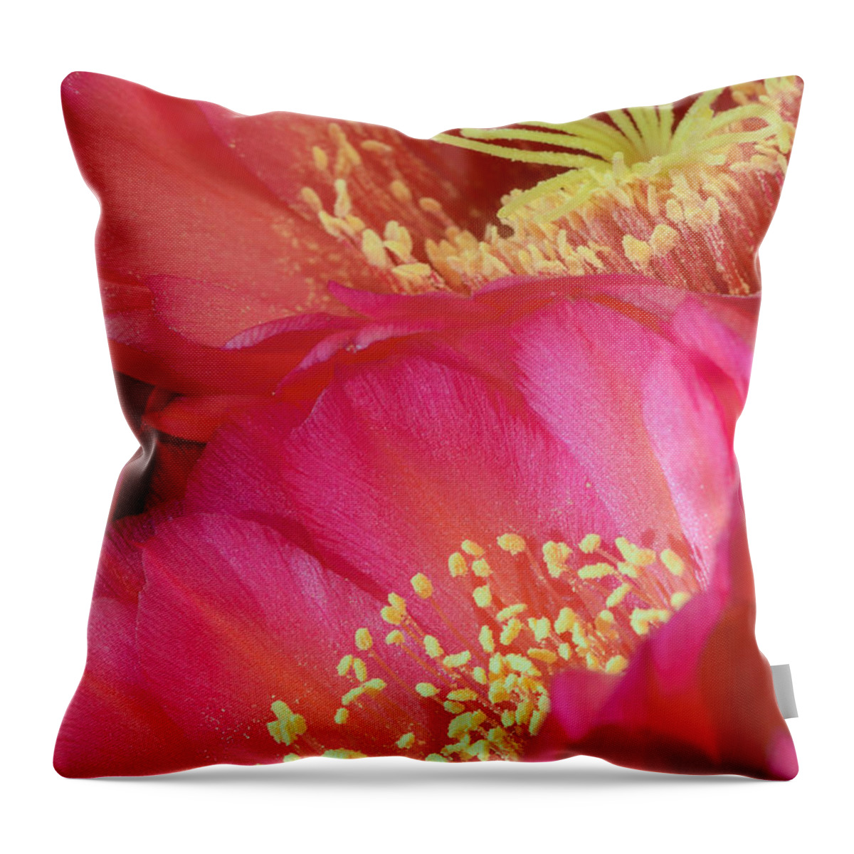 Pink Cactus Flower Throw Pillow featuring the photograph Pink Cactus Flower Bouquet II by Tamara Becker