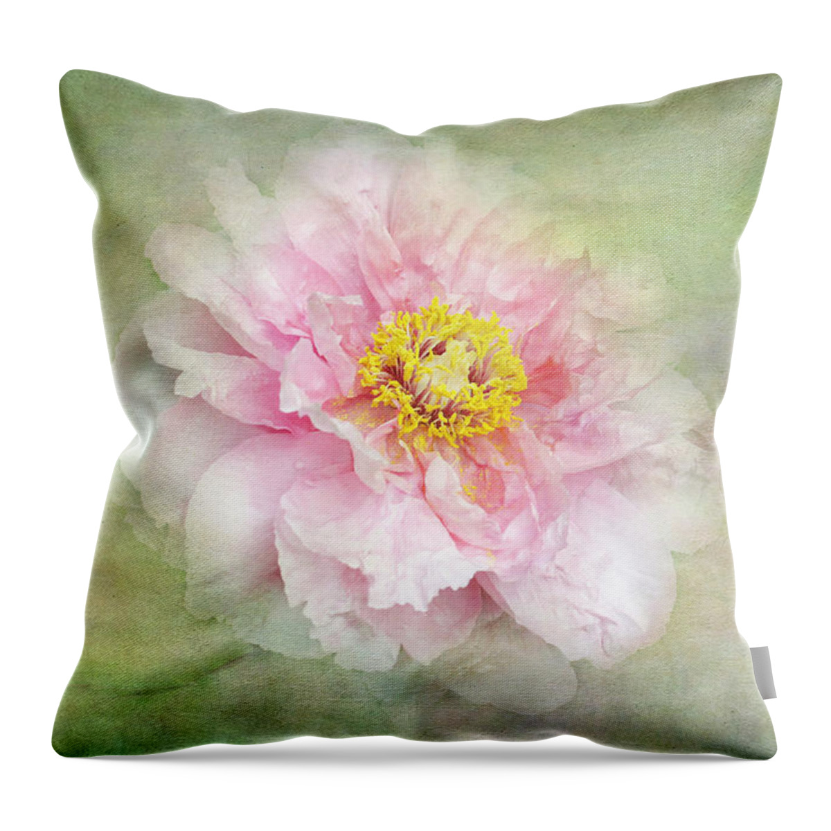 Pink Peony Bloom Throw Pillow featuring the photograph Pink Charm by Marina Kojukhova