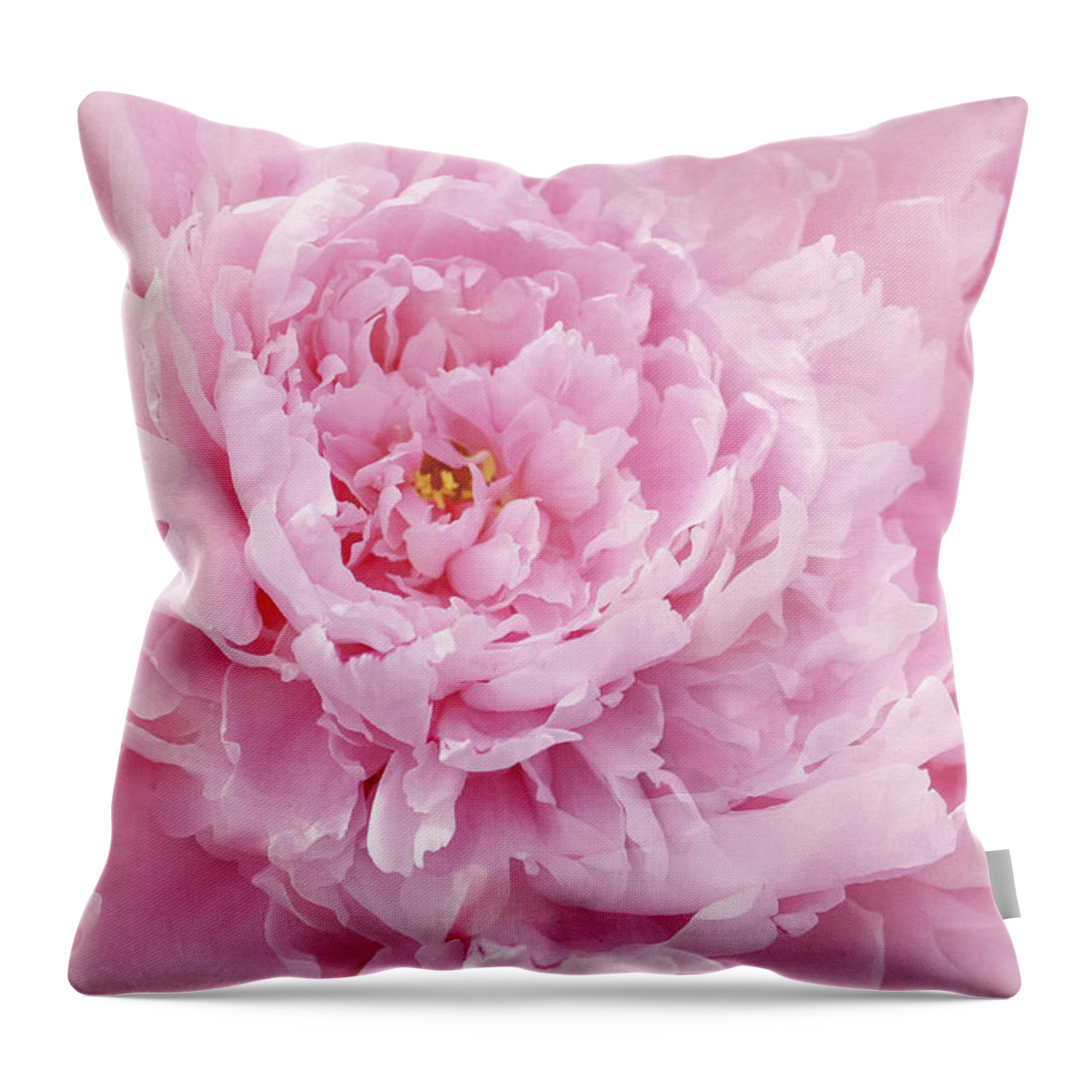 Peony Throw Pillow featuring the photograph Pink Feathers by Marina Kojukhova