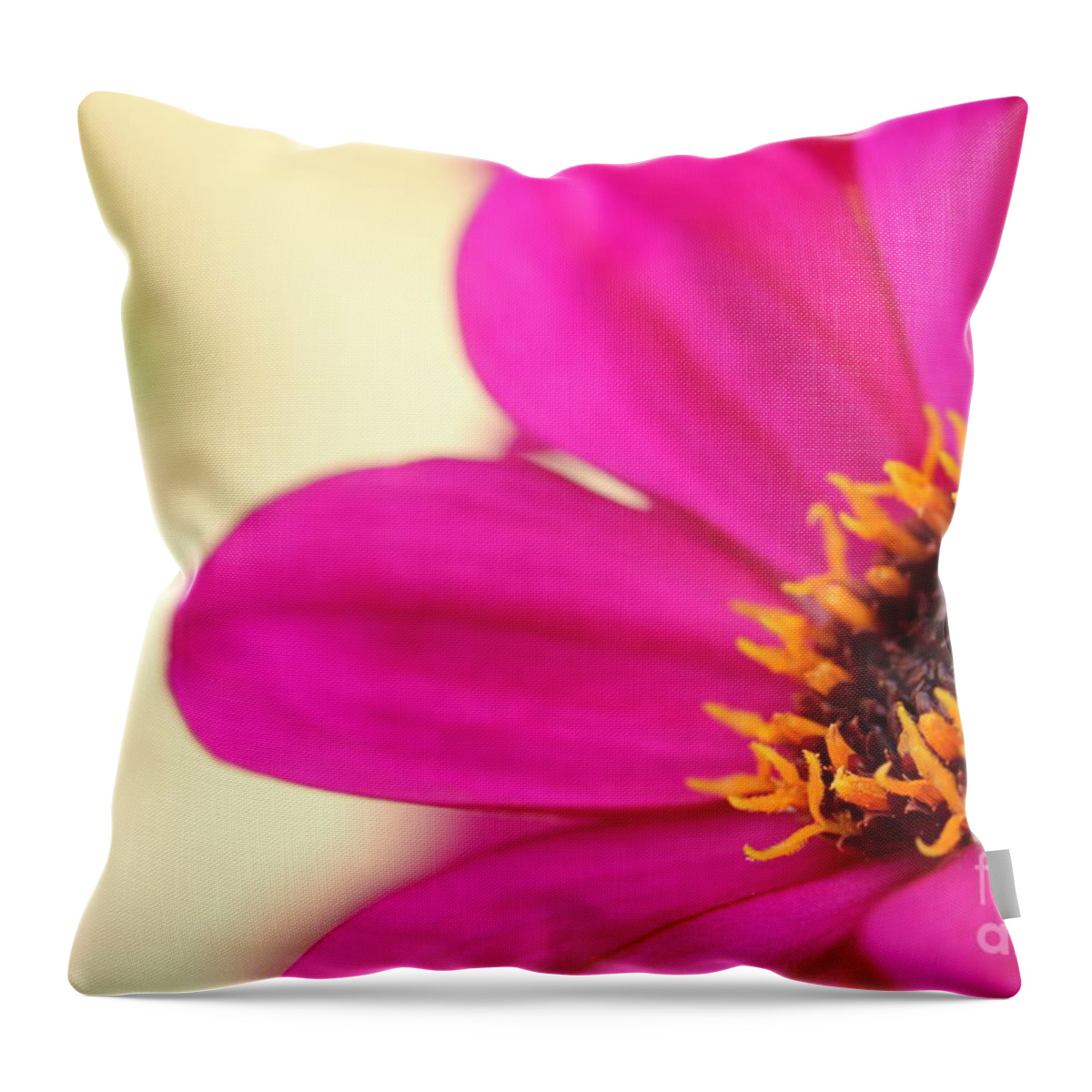 Beautiful Throw Pillow featuring the photograph Pink Flower by Amanda Mohler