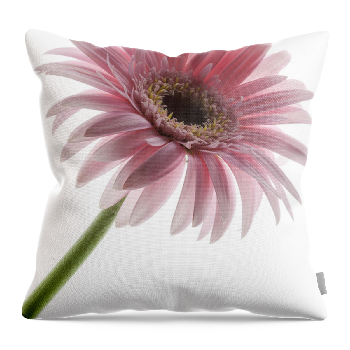 Pink Posey Throw Pillow featuring the photograph Pink Posey by Patty Colabuono