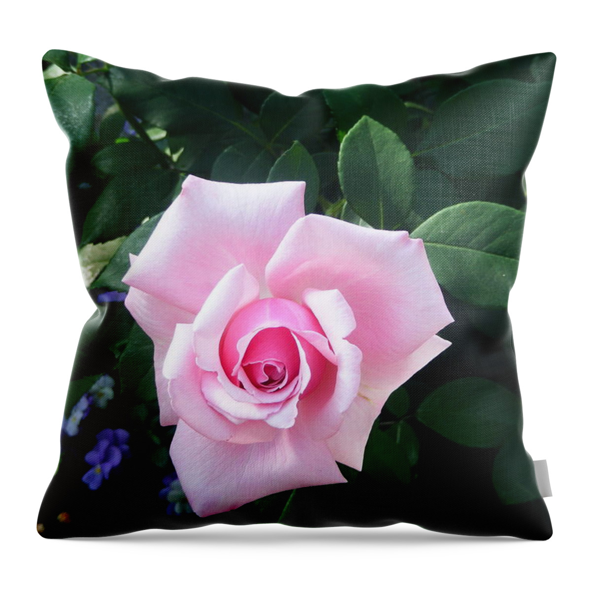 Rose Throw Pillow featuring the photograph Pink Rose by Michelle Hoffmann