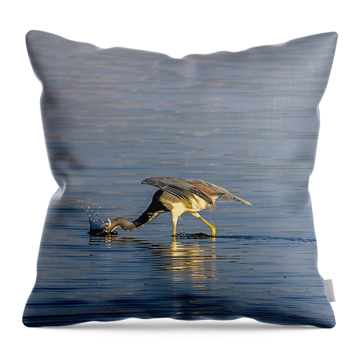 America Throw Pillow featuring the photograph Plunk by Traveler's Pics