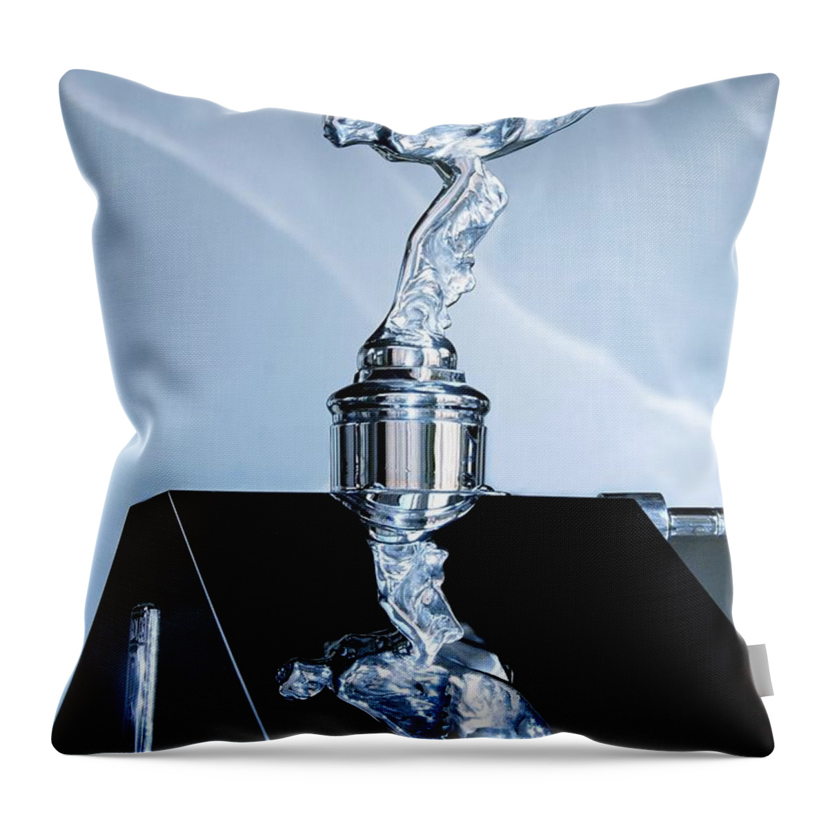 Polished Throw Pillow featuring the photograph Polished by Patrick Witz