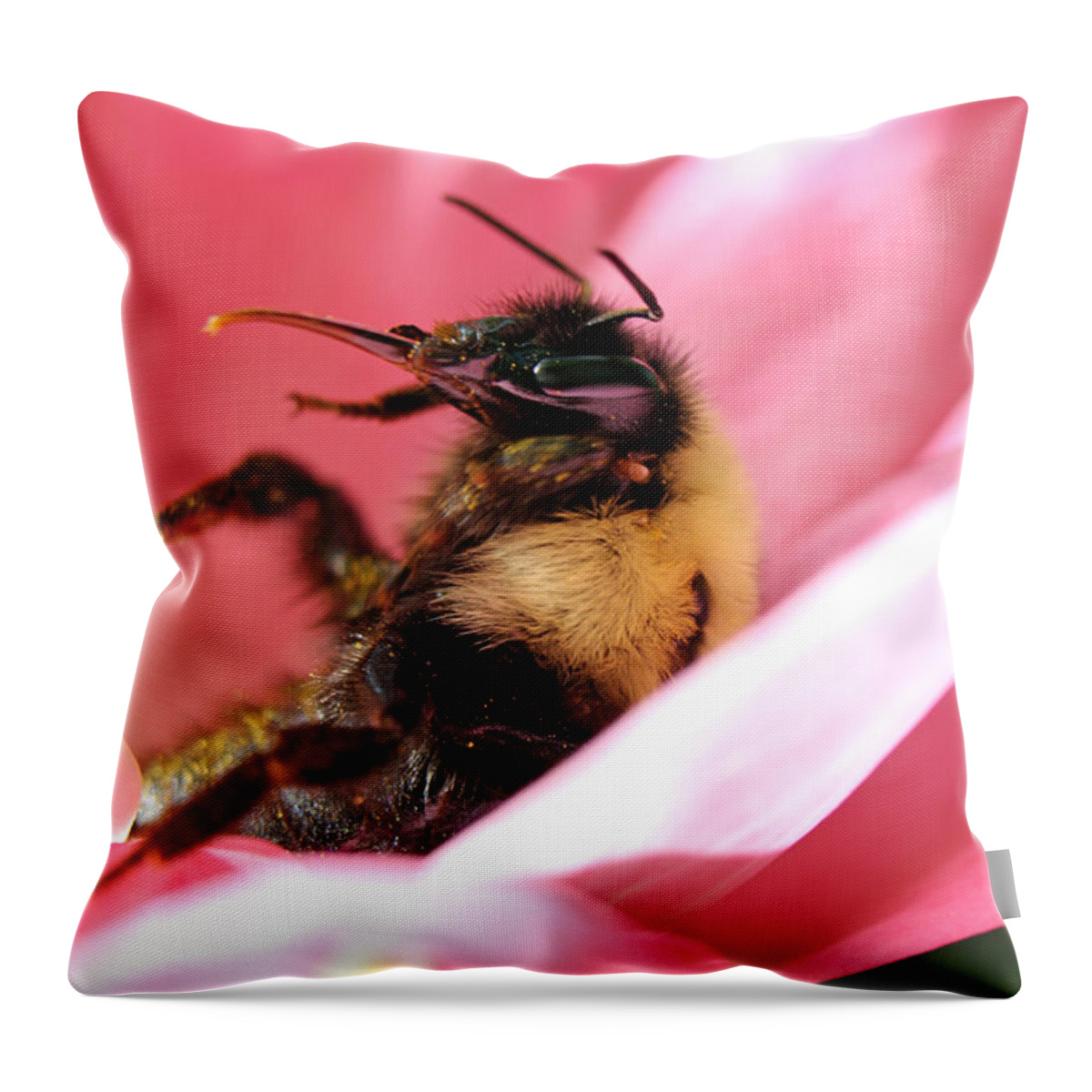 Insects Throw Pillow featuring the photograph 'Pollen High' by Jennifer Robin