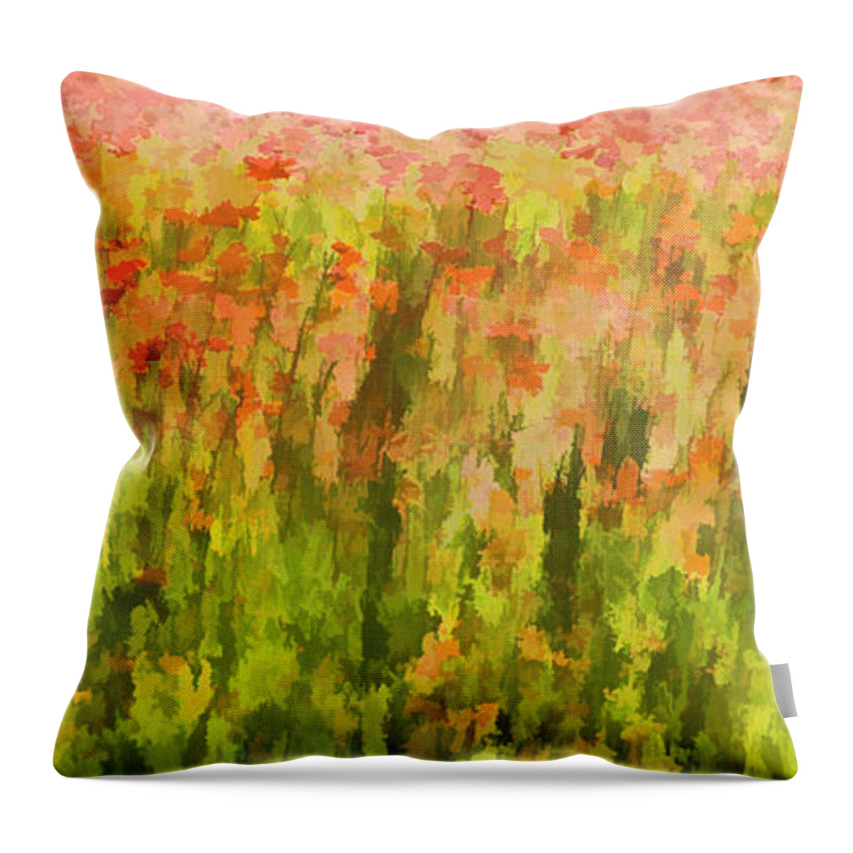 Canvas Throw Pillow featuring the painting Poppies of Tuscany III by David Letts