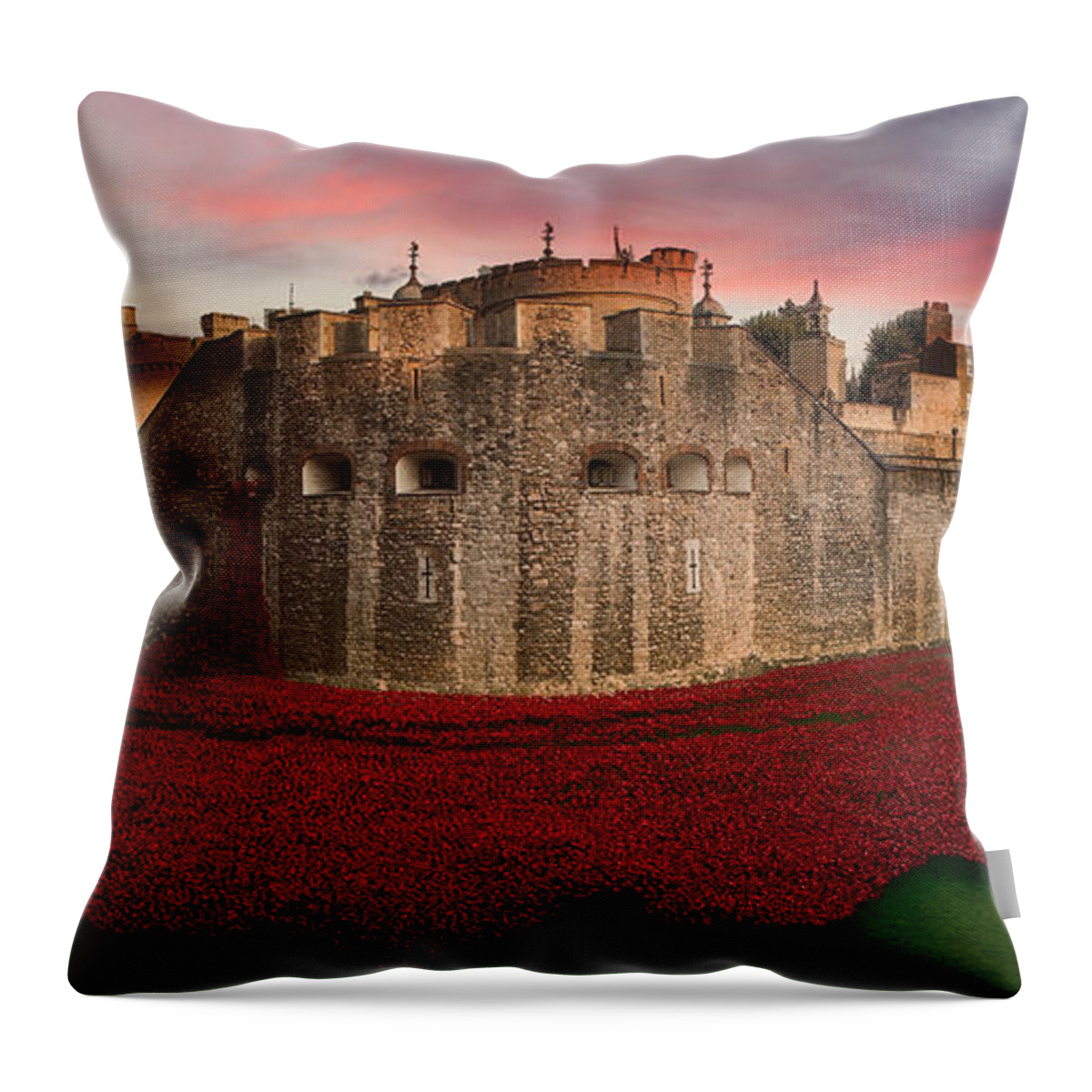 Poppies Throw Pillow featuring the digital art Poppy Sea by Airpower Art