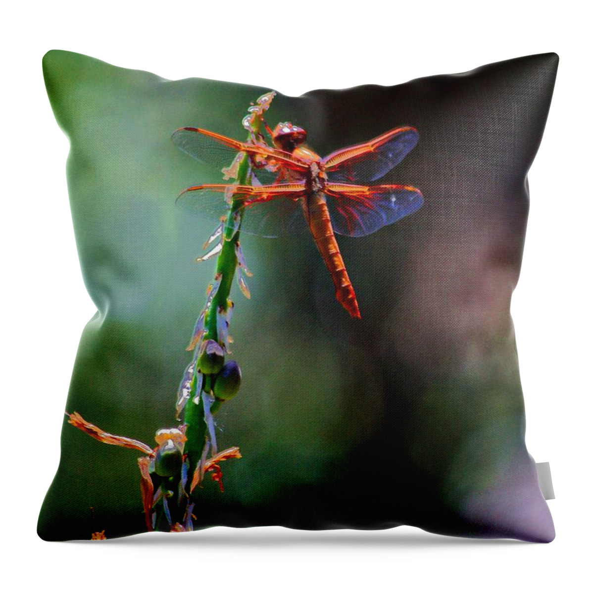 Red Dragonfly Throw Pillow featuring the photograph Positive Forces by Patrick Witz