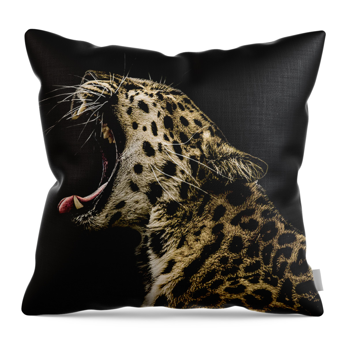 Leopard Throw Pillow featuring the photograph Jaded by Paul Neville