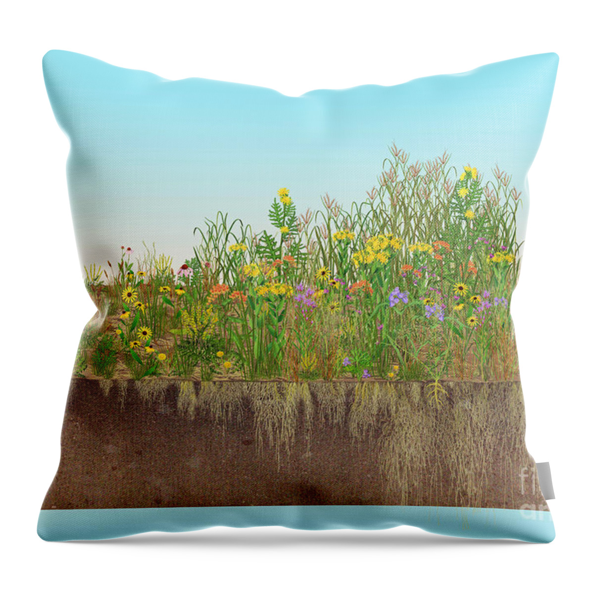 Prairie Throw Pillow featuring the photograph Prairie Plants Succession, Illustration by Carlyn Iverson