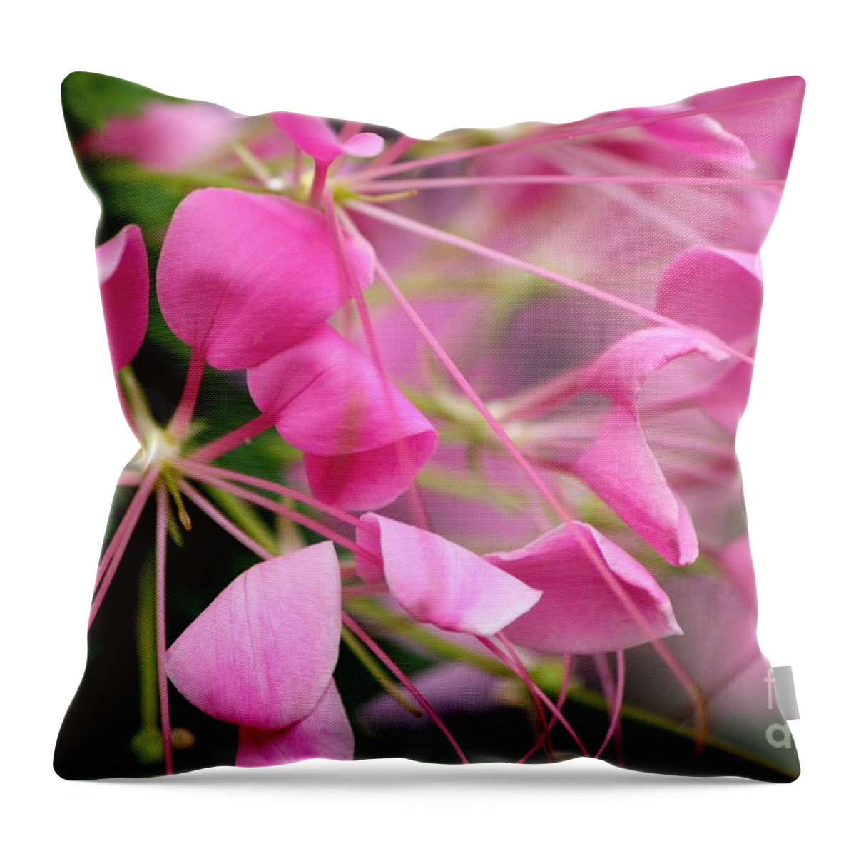 Pink Flowers Throw Pillow featuring the photograph Pretty in pink by Deena Withycombe