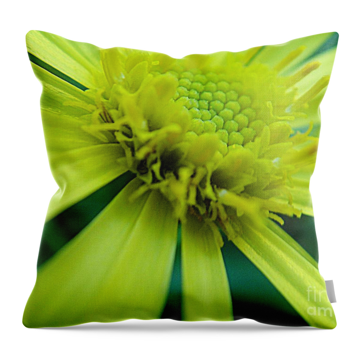 Flower Throw Pillow featuring the photograph Pretty yellow flower by Karin Ravasio