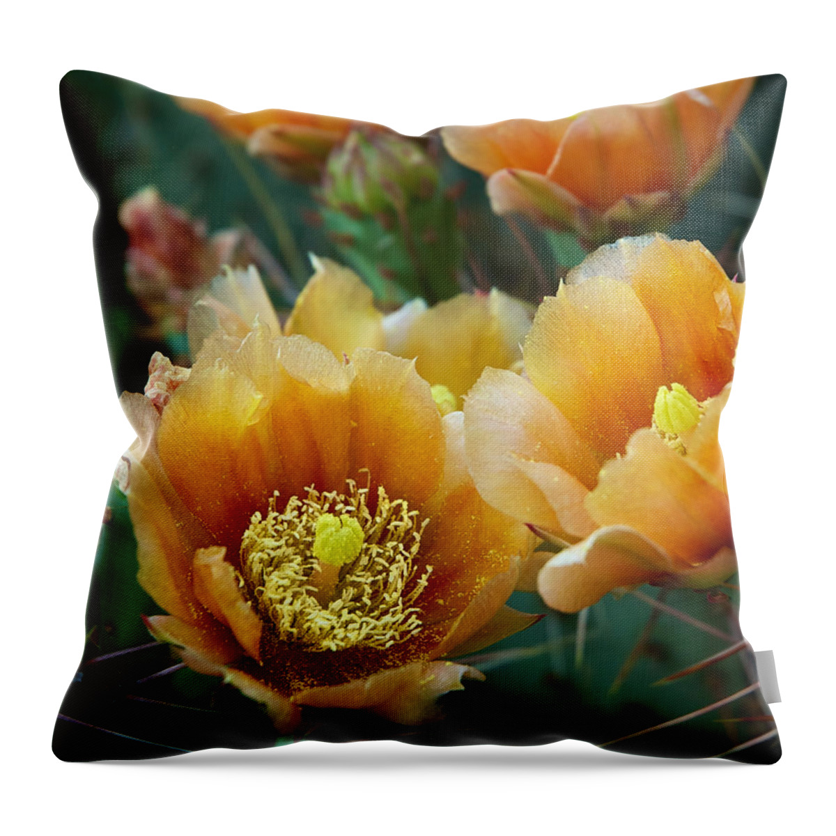 Cacti Throw Pillow featuring the photograph Prickly Pear Cactus by Mary Lee Dereske