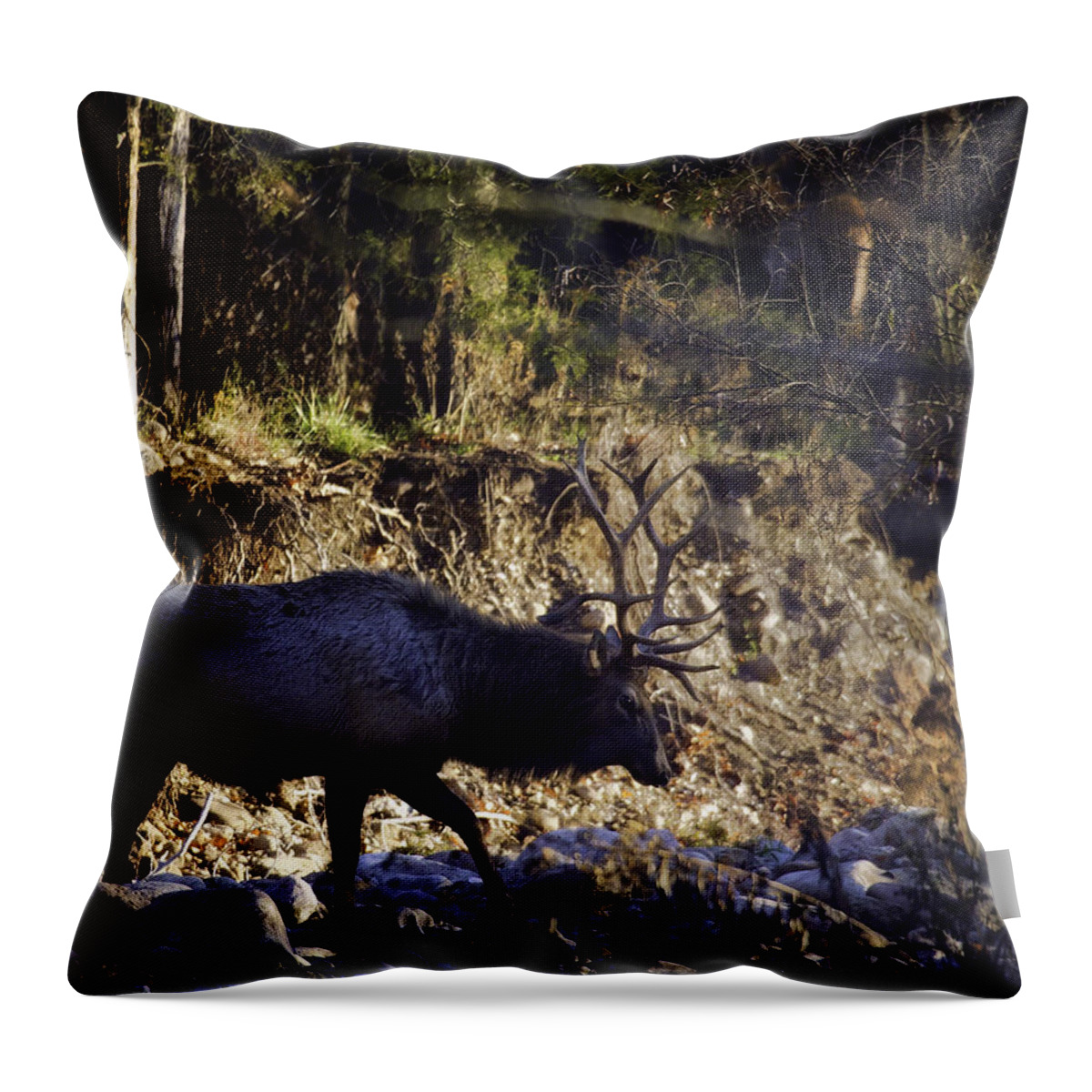 Bull Elk Throw Pillow featuring the photograph Prince Crosses a Stream by Michael Dougherty